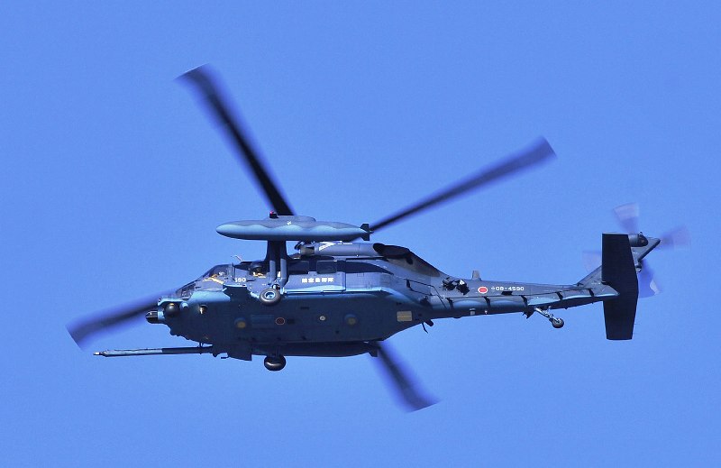 航空自衛隊第302飛行隊40周年記念塗装機